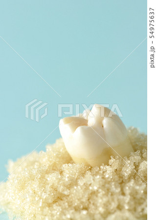 歯を大切に！ 54975637