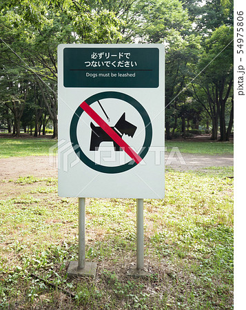 犬の放し飼い禁止の看板 犬の放し飼い禁止の看板 54975806
