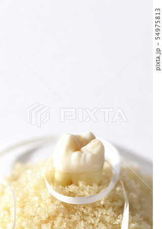 デンタルフロスで虫歯予防 54975813