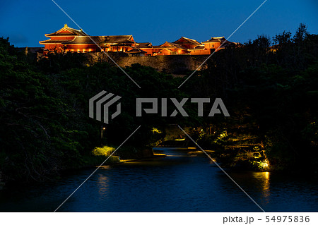 沖縄　首里城の夜景　龍潭池ごし　ライトアップ 54975836