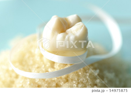 デンタルフロスで虫歯予防 54975875