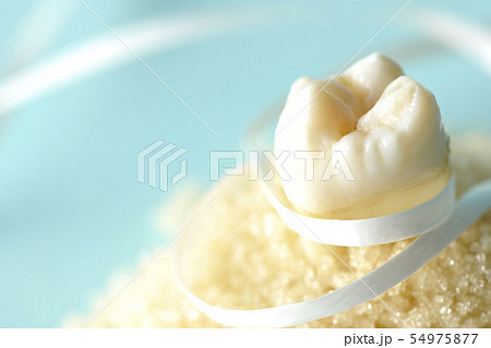 デンタルフロスで虫歯予防 デンタルフロスで虫歯予防 54975877