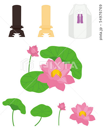蓮の花と位牌 蓮の花と位牌 54976769