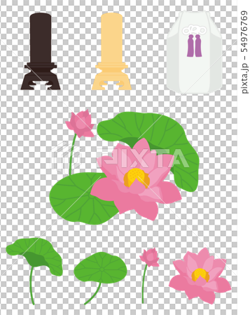 蓮の花と位牌 蓮の花と位牌 54976769