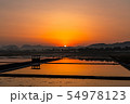 日の出 朝 葦 54978123