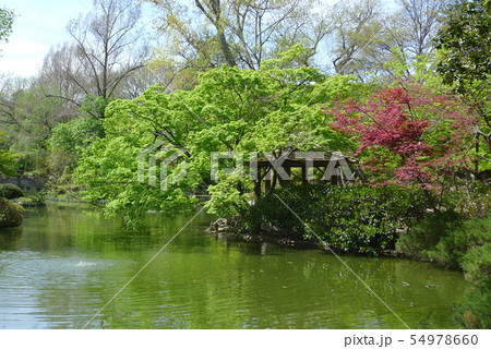 フォートワース植物園の池と東屋 54978660