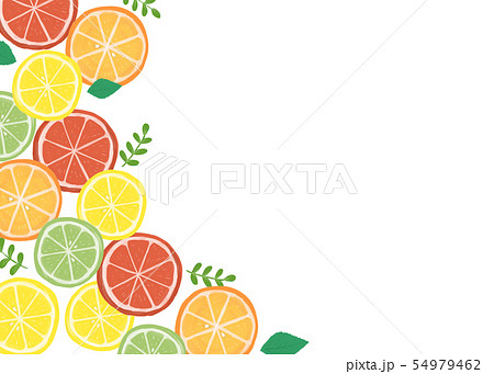 柑橘系フルーツの背景素材のイラスト素材