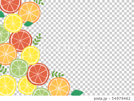 柑橘系フルーツの背景素材のイラスト素材