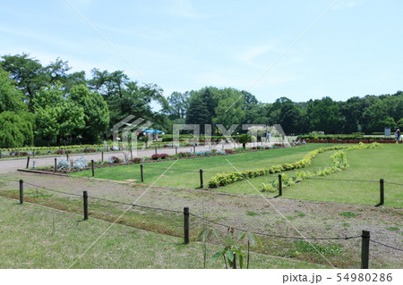 公園の風景 54980286