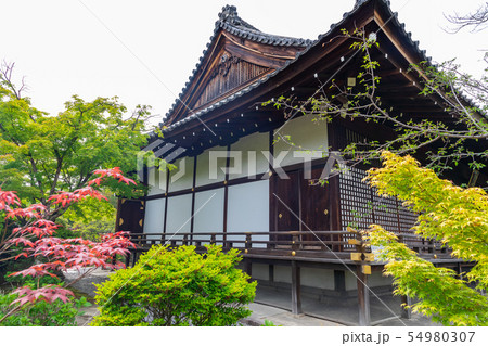 勧修寺の宸殿 京都市 54980307