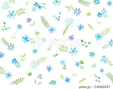 水彩イラスト 花と葉 ボタニカル 背景 壁紙のイラスト素材 54980947