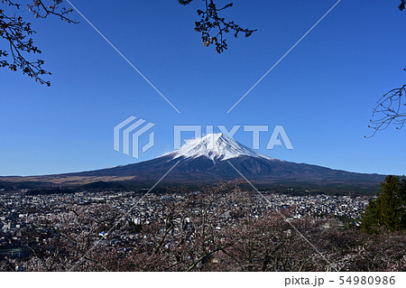新倉山浅間公園 新倉山浅間公園 54980986