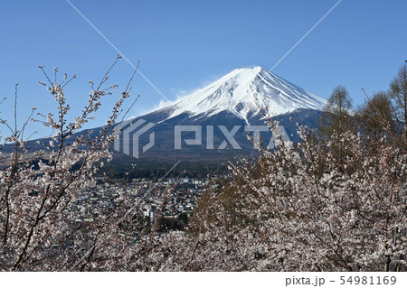 新倉山浅間公園 54981169