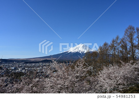 新倉山浅間公園 54981253