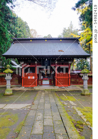 八槻都々古別神社 （秋） 54982419