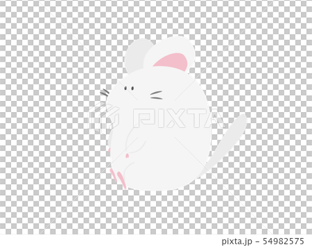 ゆるいチンチラ（ホワイト） 54982575