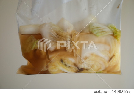 白菜の浅漬け 白菜の浅漬け 54982657