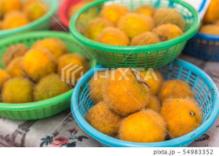 Hairy-fruited eggplant, Thai call Maeuk at market 54983352