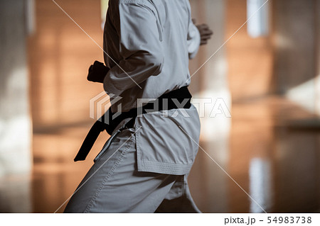 karateka karateka 54983738