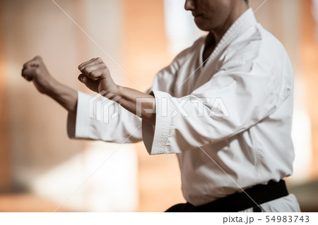 karateka karateka 54983743