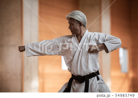 karateka karateka 54983749