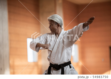 karateka 54983750