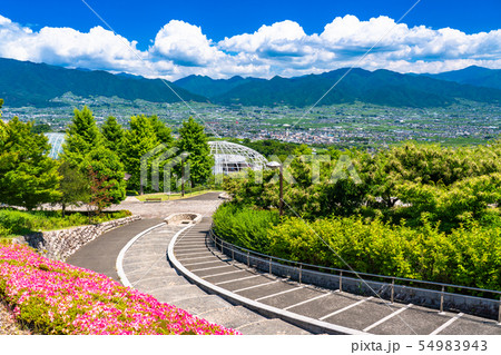 《山梨県》初夏の甲府盆地・のどかな風景 《山梨県》初夏の甲府盆地・のどかな風景 54983943