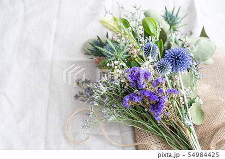 スワッグ 54984425