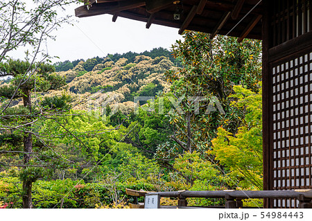 初夏の京都勧修寺 54984443