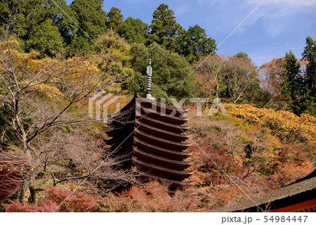多武峰の秋 多武峰の秋 54984447