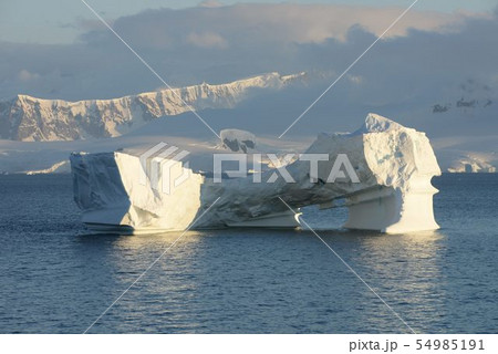 南極の氷山 54985191