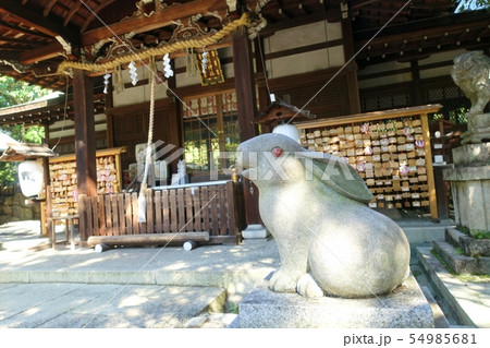 岡崎神社の狛うさぎ 岡崎神社の狛うさぎ 54985681