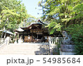 岡崎神社の狛犬と狛うさぎ 54985684