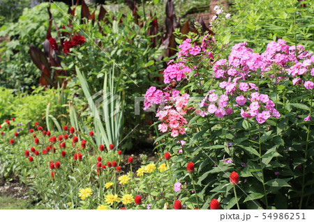 七ツ同公園の花壇 茨城県水戸市の写真素材