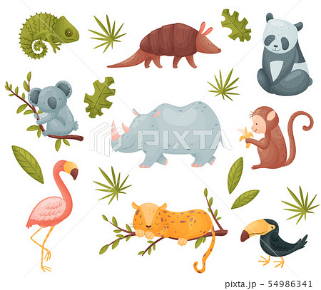 Set of exotic animals. Vector illustration on white background. 54986341
