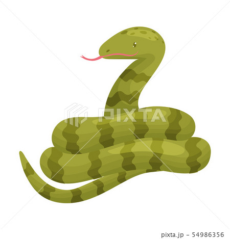 Long green snake. Vector illustration on white background. 54986356