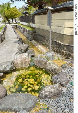 越前大野散歩:羽二重傳習所跡 越前大野散歩:羽二重傳習所跡 54987409