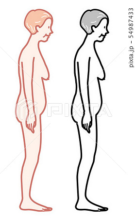 女性　プロポーション　高齢者　イラスト 54987433