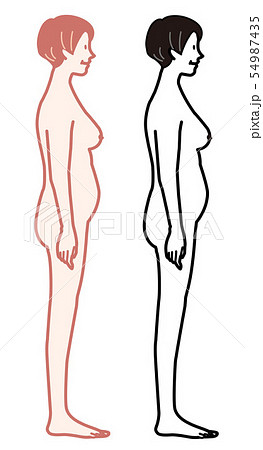 女性　プロポーション　中年　イラスト 54987435