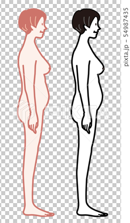 女性　プロポーション　中年　イラスト 54987435