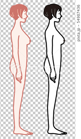 女性比例成熟婦女例證 54987436