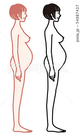 女性　プロポーション　妊婦　イラスト 54987437