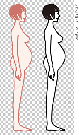 女性　プロポーション　妊婦　イラスト 54987437