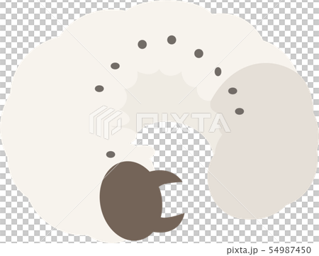 甲蟲幼蟲 54987450