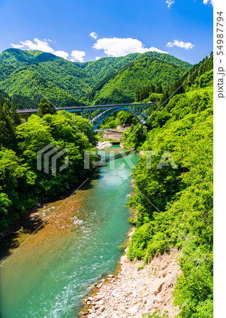 (富山県南砺市)新緑が美しい、湯出島橋 (富山県南砺市)新緑が美しい、湯出島橋 54987794
