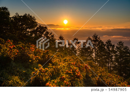 《山梨県》大雲海の夜明け・甘利山 54987905