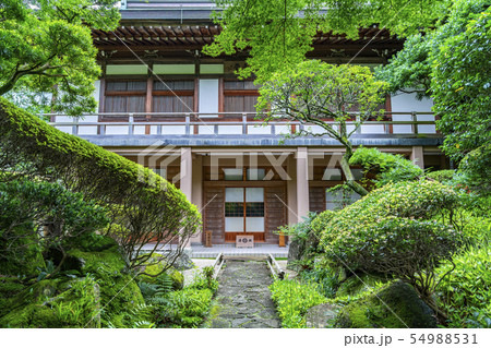 【神奈川県】鎌倉　報国寺の迦葉堂 54988531