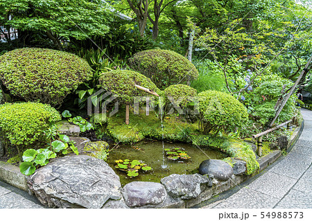 【神奈川県】鎌倉 報国寺 【神奈川県】鎌倉 報国寺 54988573