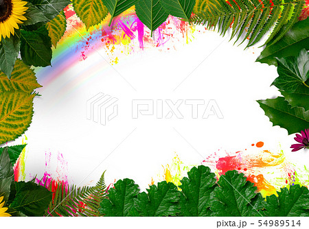 Rainbow and Green leaves on summer background Rainbow and Green leaves on summer background 54989514