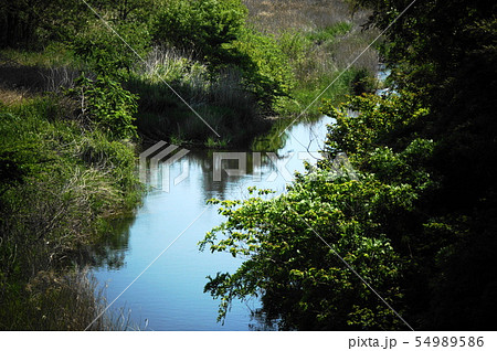 小川 小川 54989586